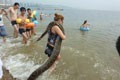 大连女子扛4米长蟒蛇海边戏水